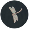 black-dragonfly