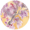 cherry-blossom