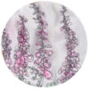 foxgloves