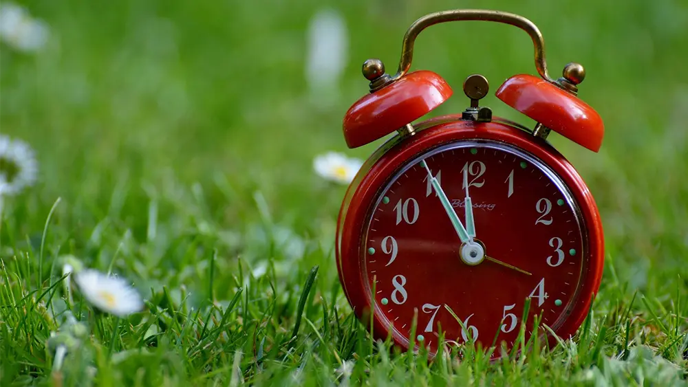 Red vintage-style alarm clock standing upright in green grass with small white daisies scattered around.